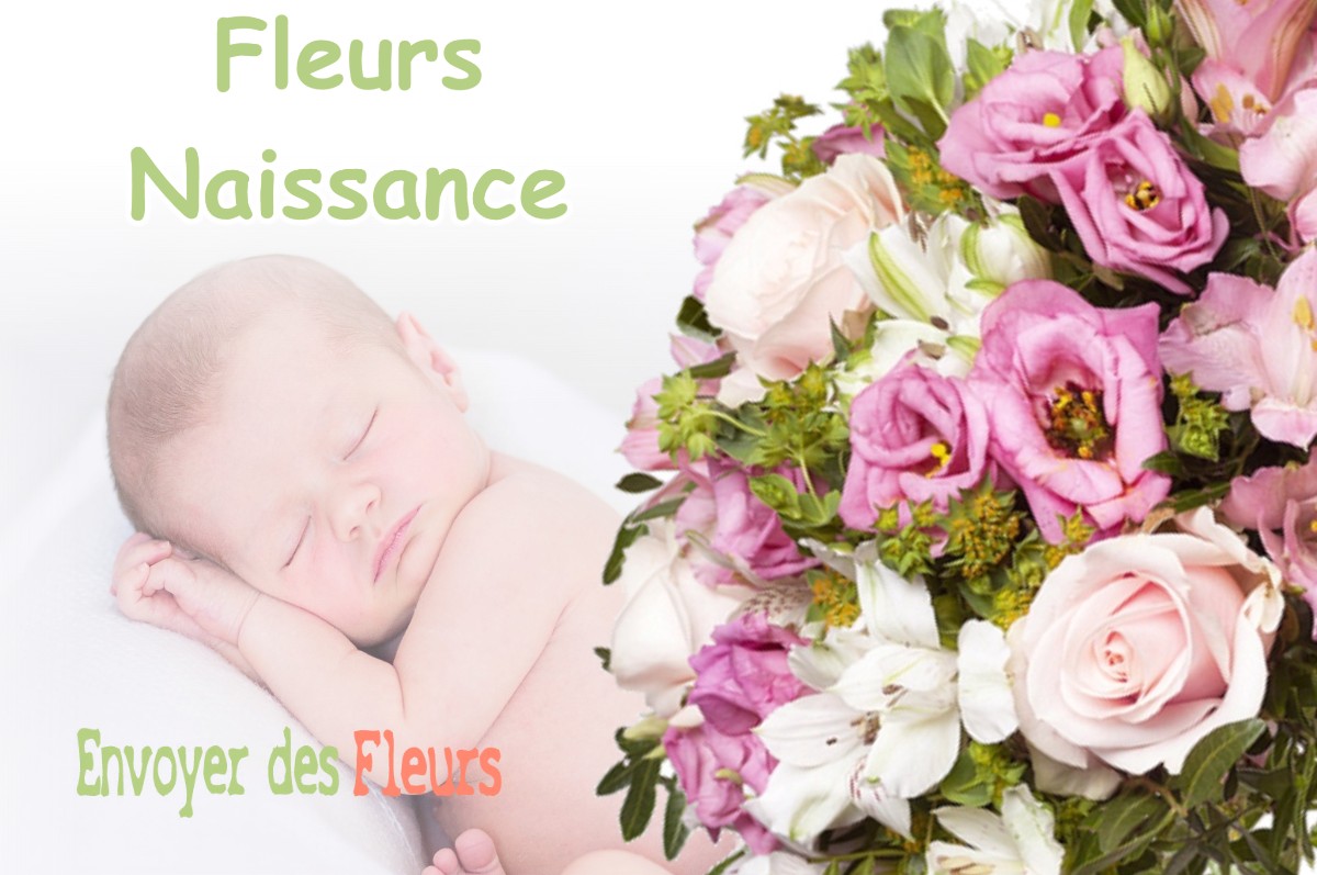 lIVRAISON FLEURS NAISSANCE à CREYS-MEPIEU